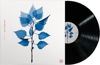 Get Sunk [VINYL] por Matt Berninger — capa do álbum