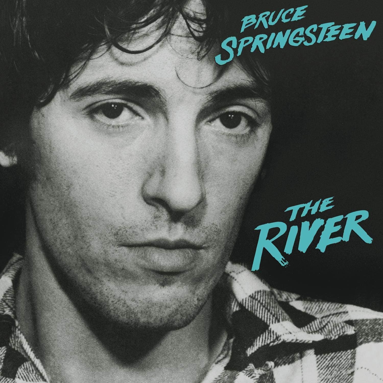 The River [Disco de Vinil] por Bruce Springsteen — capa do álbum