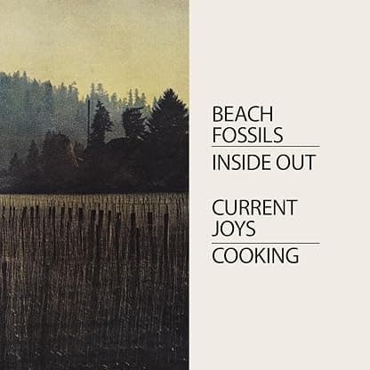 Cooking/Inside Out - Purple por Current Joys & Beach Fossils — capa do álbum