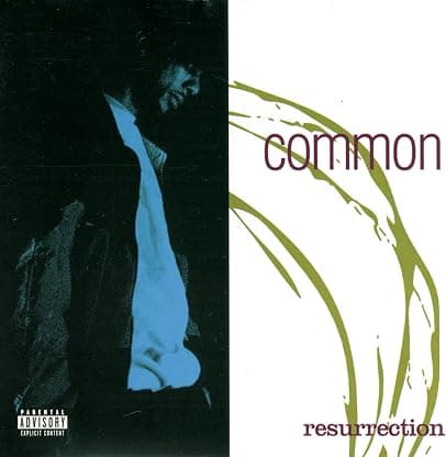 Resurrection [Disco de Vinil] por Common Sense — capa do álbum