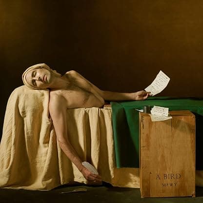 My Finest Work Yet [LP] por Andrew Bird — capa do álbum