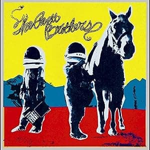 True Sadness [Disco de Vinil] por The Avett Brothers — capa do álbum