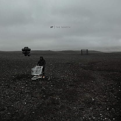 The Search [Disco de Vinil] por Músicas MP3 — capa do álbum