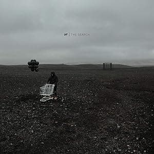 The Search [Disco de Vinil] por Músicas MP3 — capa do álbum