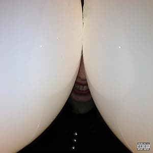 Bottomless Pit por Death Grips — capa do álbum
