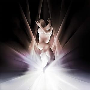 CYR [Orchid 2 LP] por The Smashing Pumpkins — capa do álbum