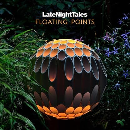 Late Night Tales: Floating Points [Disco de Vinil] por Floating Points — capa do álbum