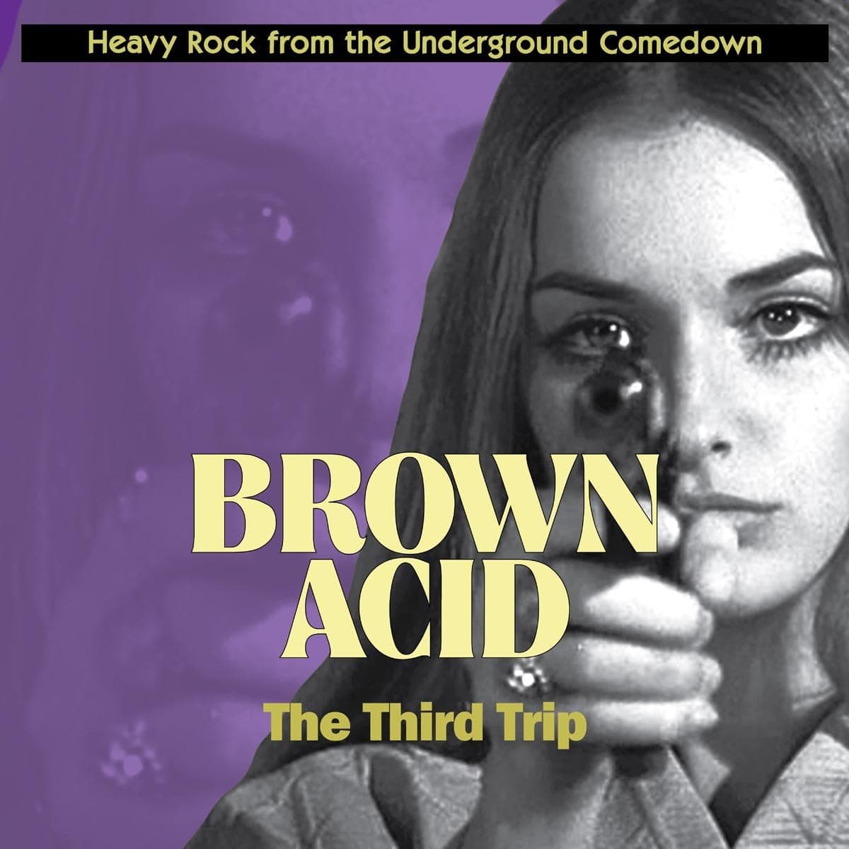Brown Acid: Third Trip / Various [Disco de Vinil] por Various Artists — capa do álbum