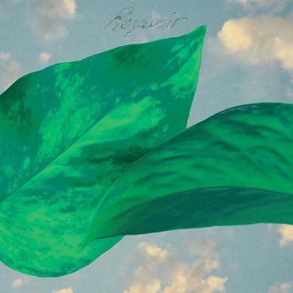 Resavoir [Disco de Vinil] por Resavoir — capa do álbum