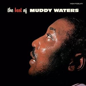 Best Of Muddy Waters - Limited 180-Gram Crystal Clear Vinyl with Bonus Tracks por Muddy Waters — capa do álbum
