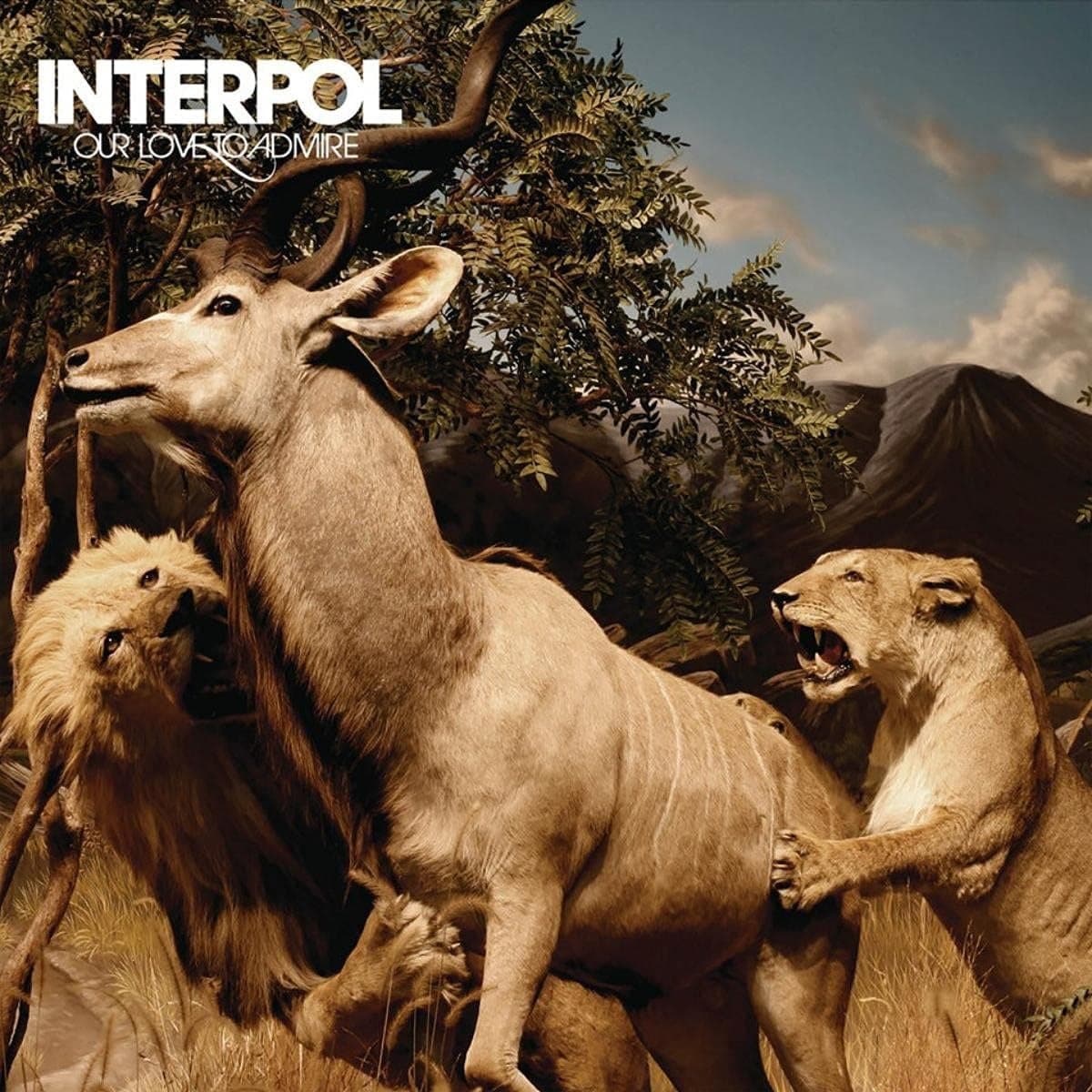 Our Love To Admire [Disco de Vinil] por Interpol — capa do álbum