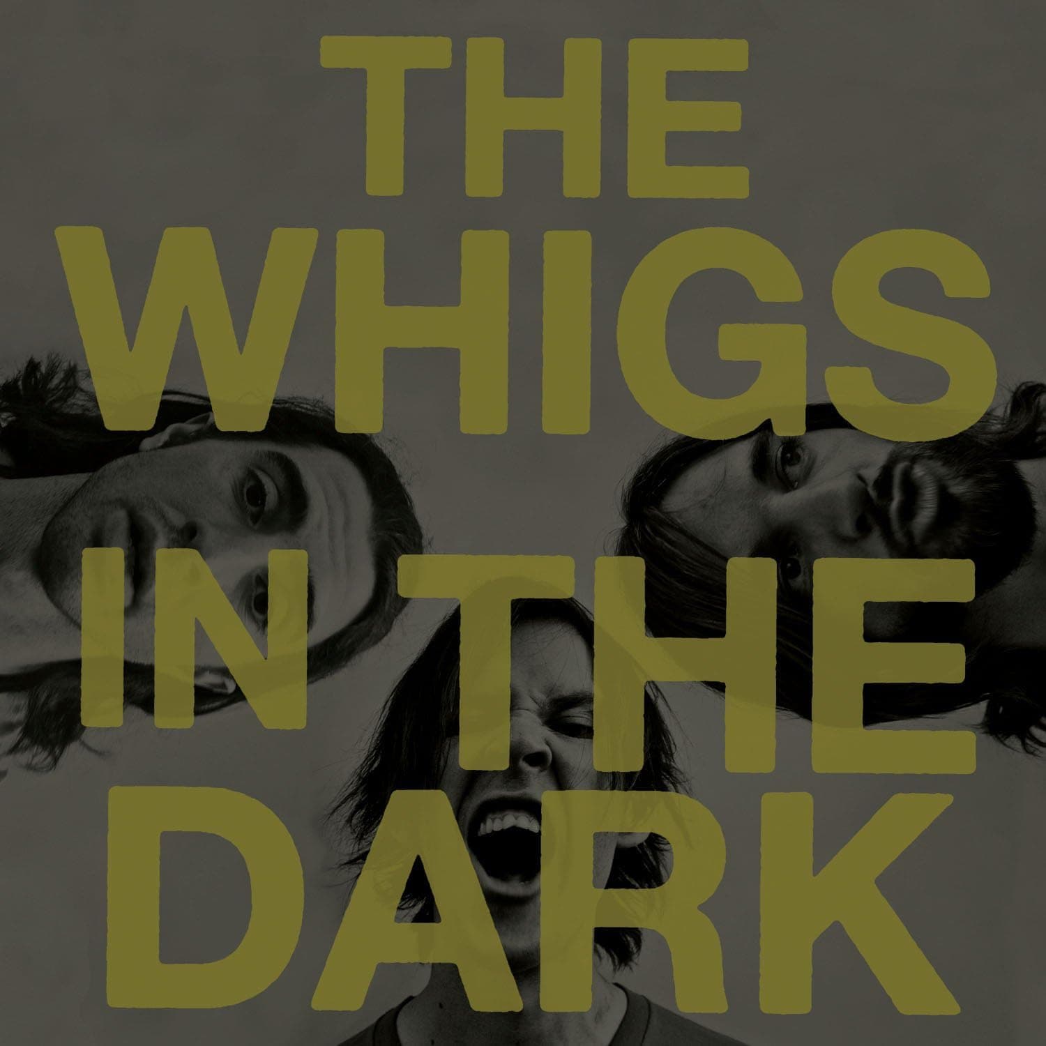In the Dark [Disco de Vinil] por Artista não identificado — capa do álbum