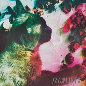 The Comforts of Madness (30th Anniversary Reissue) [Disco de Vinil] por Pale Saints — capa do álbum