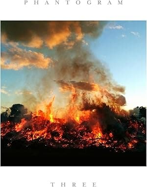 Three [Disco de Vinil] por Phantogram — capa do álbum