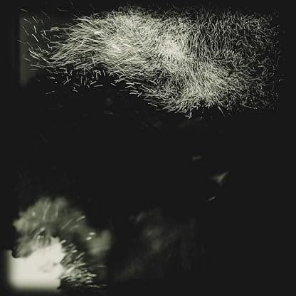 Fall Into The Light / Pilgrim [Disco de Vinil] por Fall Into The Light — capa do álbum