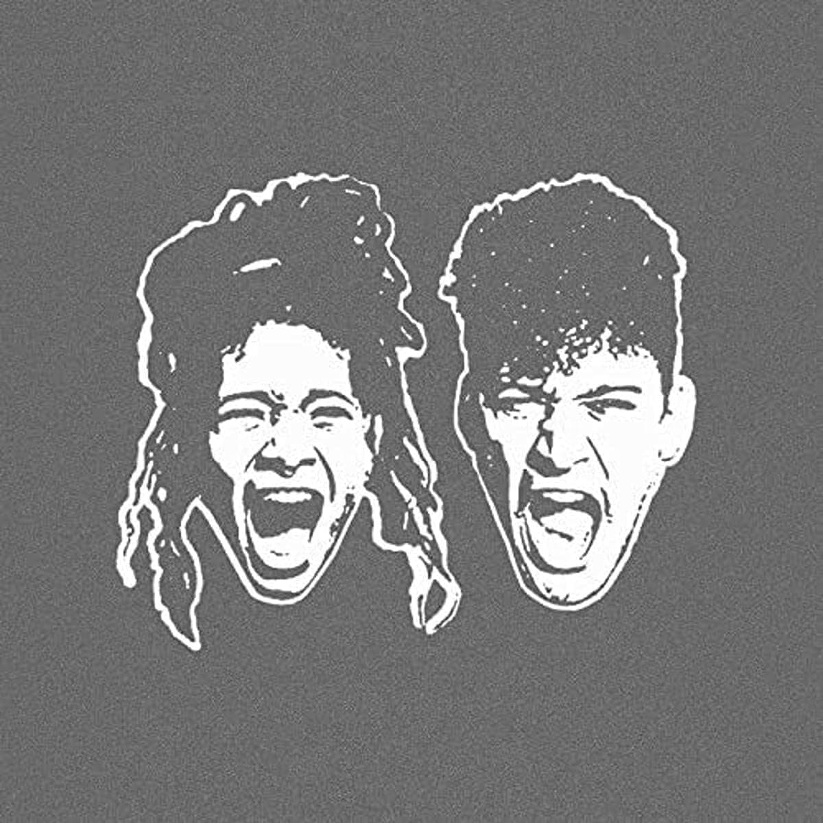 THE ANXIETY [LP] por THE ANXIETY (WILLOW & Tyler Cole) — capa do álbum