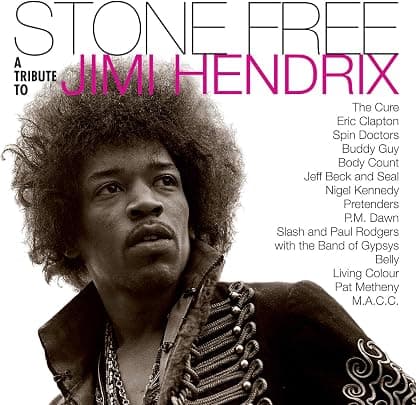 Stone Free: Jimi Hendrix Tribute (Black & Clear Vinyl) (Rocktober 2020) [Disco de Vinil] por Jimi Tribute Hendrix — capa do álbum