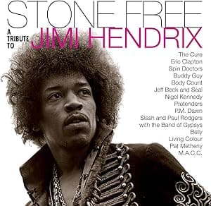 Stone Free: Jimi Hendrix Tribute (Black & Clear Vinyl) (Rocktober 2020) [Disco de Vinil] por Jimi Tribute Hendrix — capa do álbum