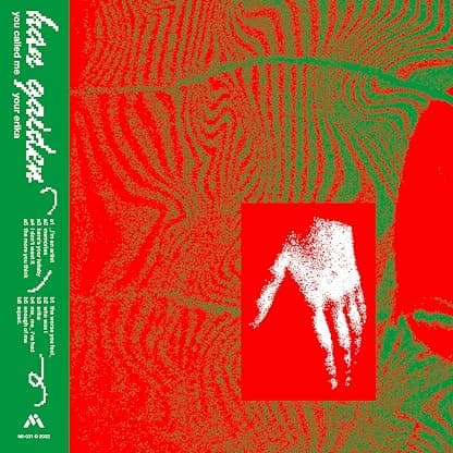 YOU CALLED ME YOUR ERIKA por Garden Gaze — capa do álbum
