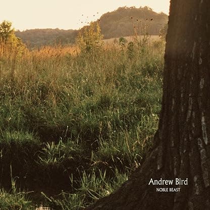 Noble Beast [Disco de Vinil] por Andrew Bird — capa do álbum