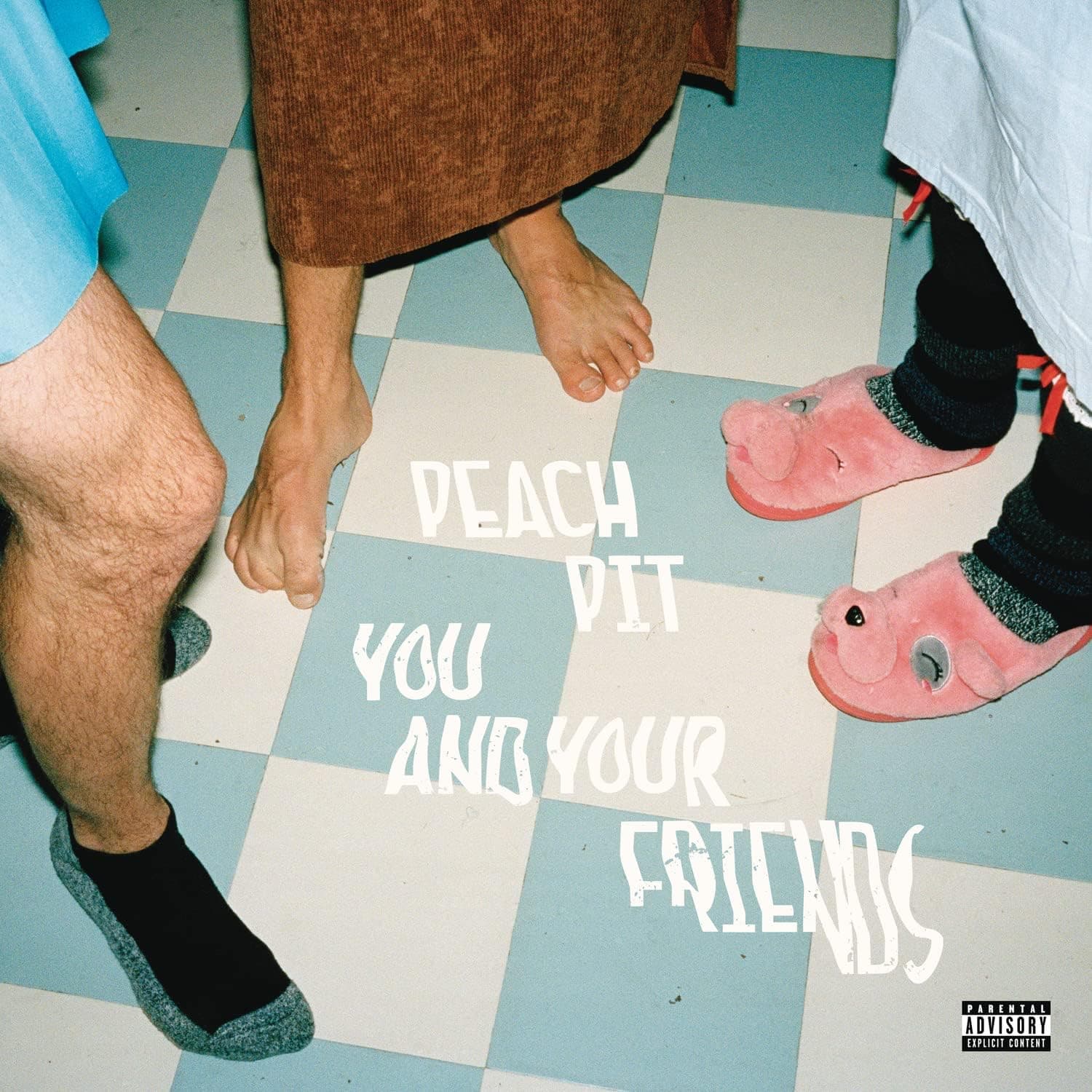 You and Your Friends [Disco de Vinil] por Peach Pit — capa do álbum