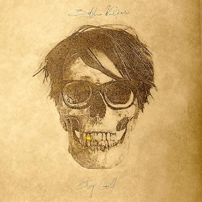 Stay Gold [Disco de Vinil] por Butch Walker — capa do álbum