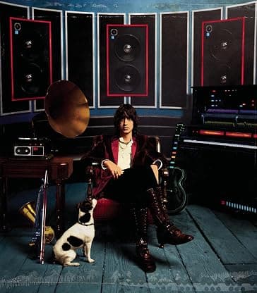Phrazes for the Young [Disco de Vinil] por Julian Casablancas — capa do álbum