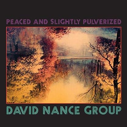 Peaced And Slightly Pulverized [Disco de Vinil] por David Nance Group — capa do álbum