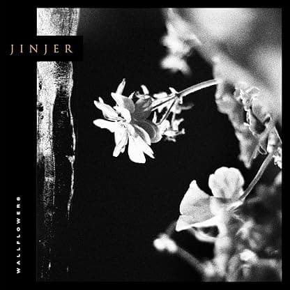 Wallflowers [Disco de Vinil] por Jinjer — capa do álbum