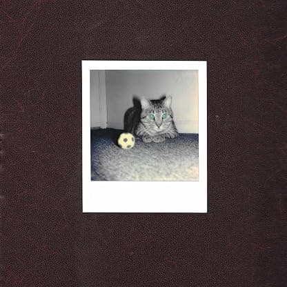 Ways of Hearing [Disco de Vinil] por At Goalie's Anxiety — capa do álbum