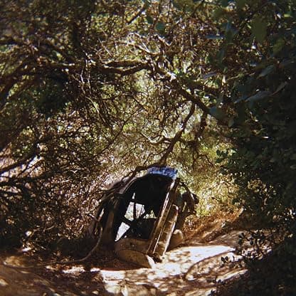 Possession [VINYL] por Ty Segall — capa do álbum