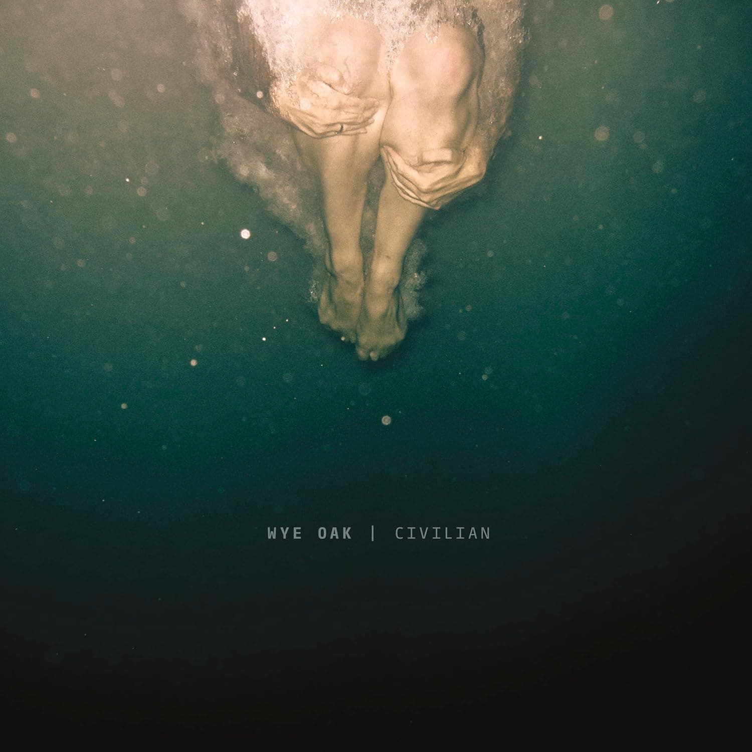 Civilian [Disco de Vinil] por Wye Oak — capa do álbum
