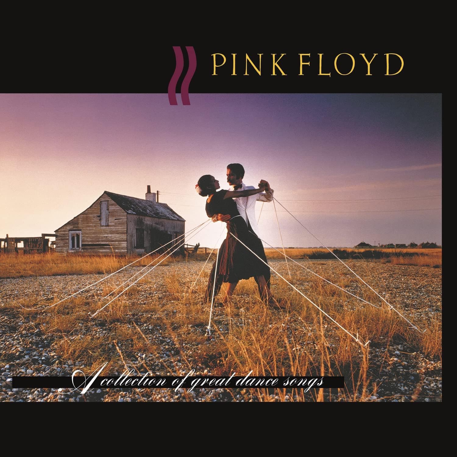 A Collection Of Great Dance Songs [Disco de Vinil] por Pink Floyd — capa do álbum