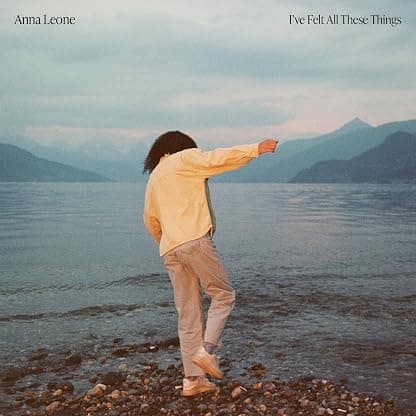 I've Felt All These Things [Disco de Vinil] por Músicas MP3 — capa do álbum