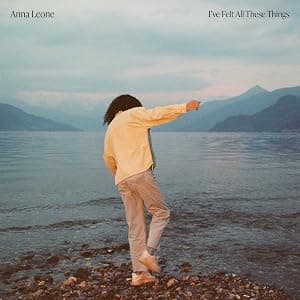 I've Felt All These Things [Disco de Vinil] por Músicas MP3 — capa do álbum