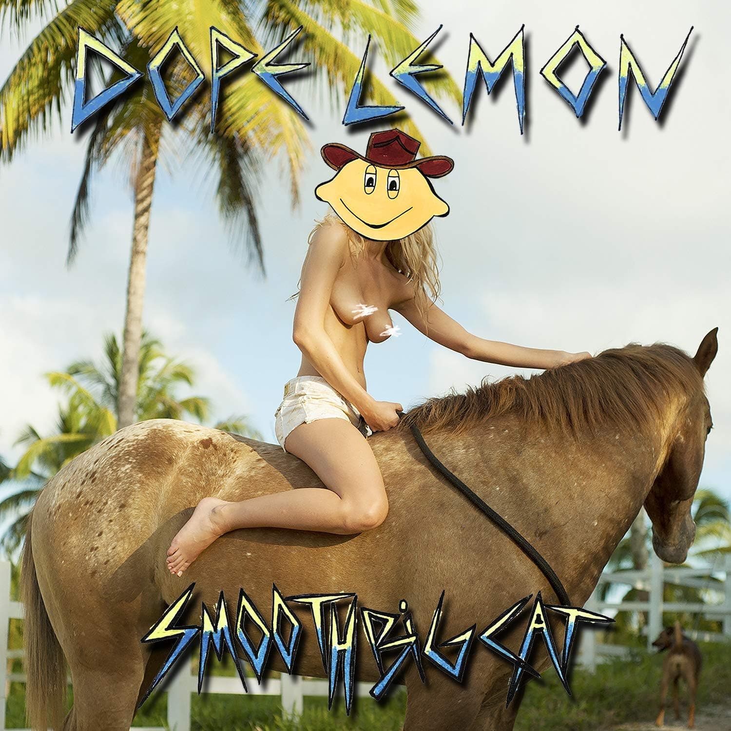 Smooth Big Cat [Disco de Vinil] por Artista não identificado — capa do álbum
