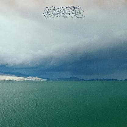 Fruit That Ate Itself [Disco de Vinil] por Modest Mouse — capa do álbum
