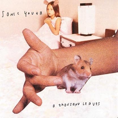 A Thousand Leaves [Disco de Vinil] por Sonic Youth — capa do álbum