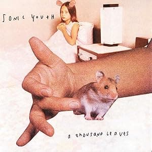 A Thousand Leaves [Disco de Vinil] por Sonic Youth — capa do álbum