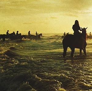 Foals - Holy Fire [Disco de Vinil] por Foals — capa do álbum