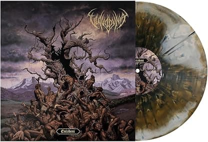 Entabeni (Iris Burst) [VINYL] por Vulvodynia — capa do álbum