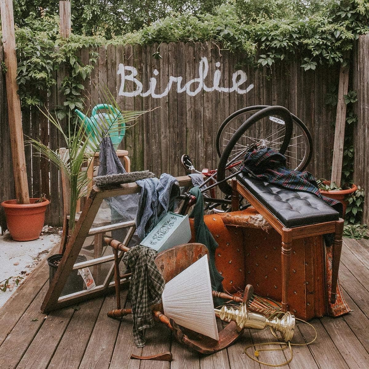 Birdie [Disco de Vinil] por Artista não identificado — capa do álbum
