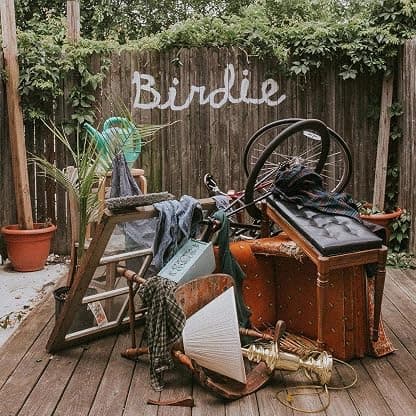 BIRDIE (OLIVE GREEN VINYL) por Slaughter Beach Dog — capa do álbum