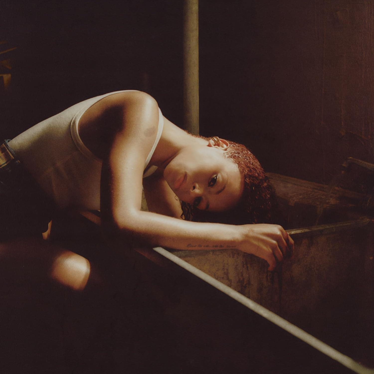 Bird's Eye por Ravyn Lenae — capa do álbum