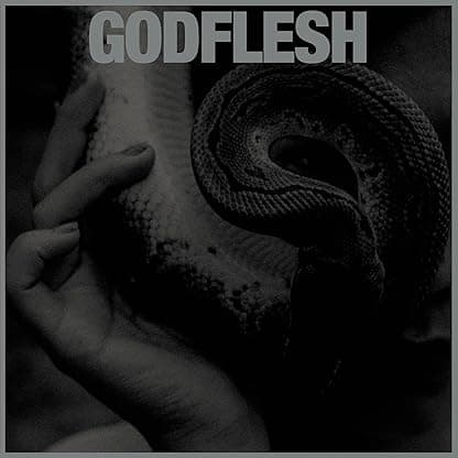 PURGE (SILVER W/ GOLD SPLATTER VINYL) por Godflesh — capa do álbum