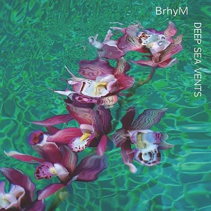Deep Sea Vents por BrhyM — capa do álbum