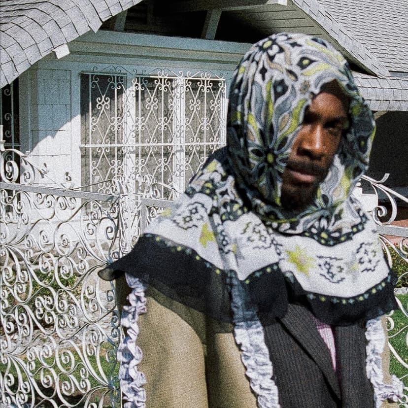 All My Heroes Are Cornballs [2 LP] por Jpegmafia — capa do álbum