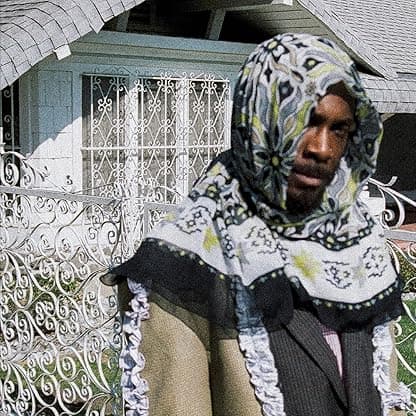 All My Heroes Are Cornballs [2 LP] por Jpegmafia — capa do álbum