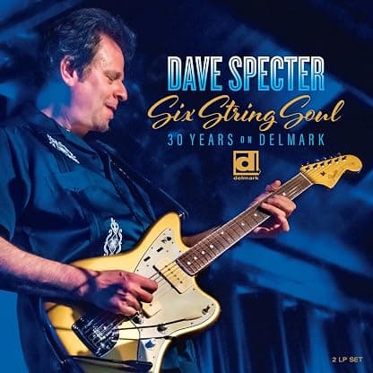 Six String Soul: 30 Years On Delmark - Blue (Colored Vinyl, Blue, Digital Download Card) por Stella — capa do álbum