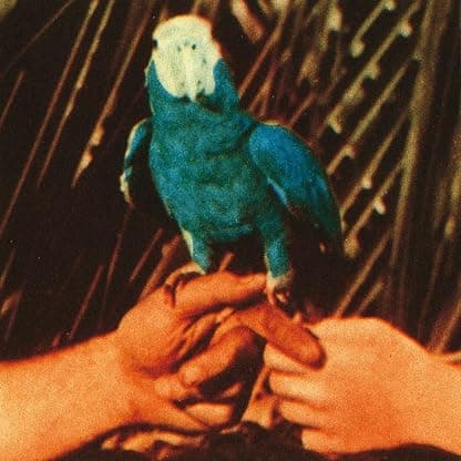 Are You Serious [Disco de Vinil] por Andrew Bird — capa do álbum